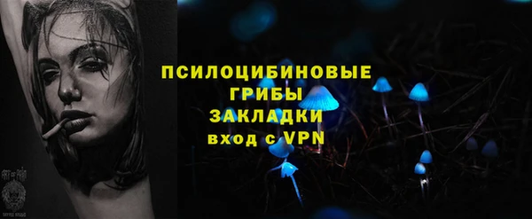 тгк Богородицк