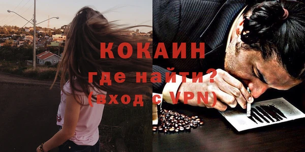 тгк Богородицк